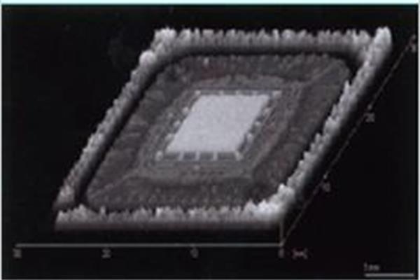 C-SAM是什么？它又有什么實際應用？